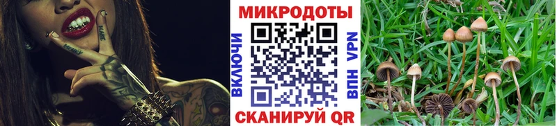 Галлюциногенные грибы Cubensis  Среднеколымск 